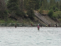 Combat Fishing on the Kenai River
